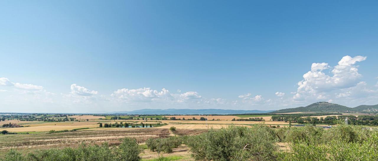 Casolare Marconi Apartment Panicale Exterior photo