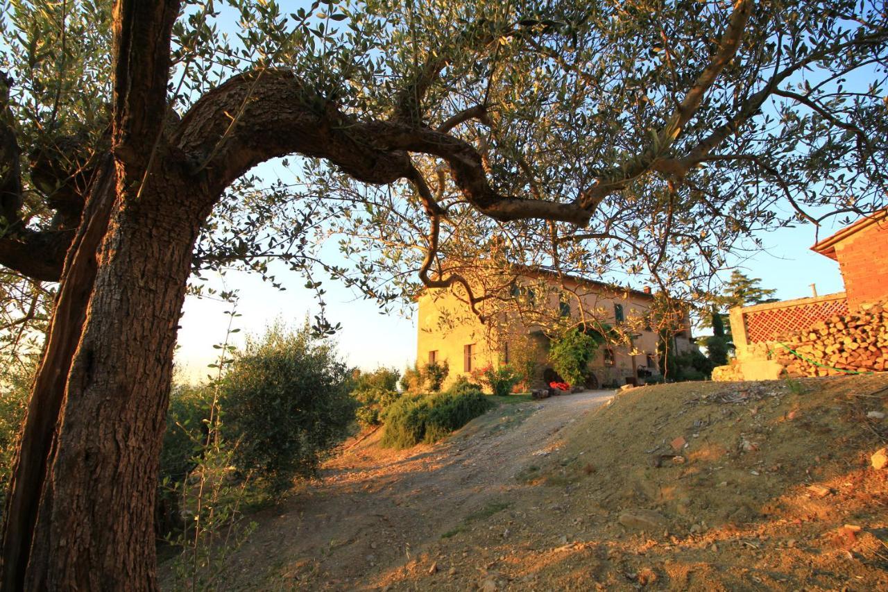 Casolare Marconi Apartment Panicale Exterior photo